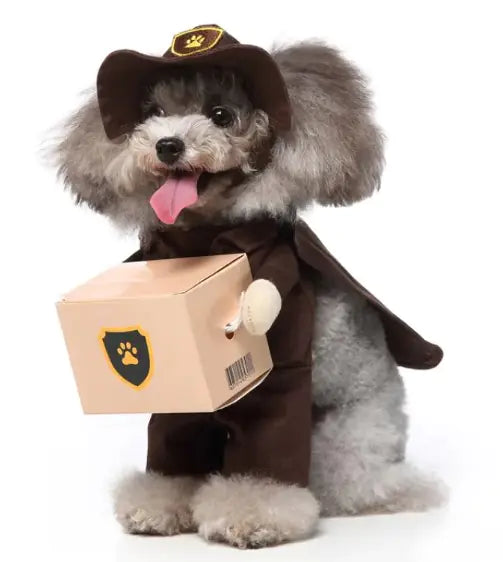 Pet Products Clothing - 888