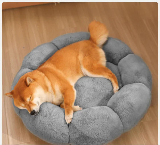 Calming Indoor Pet Beds - 888