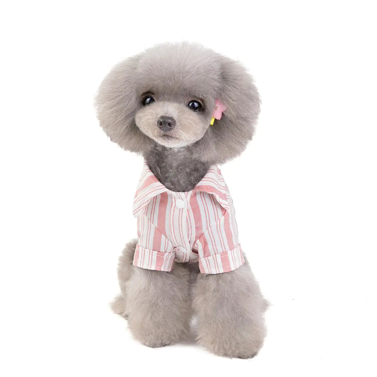 Pet Shirt for Dogs and Cats - Stylish Pet Clothing - 888