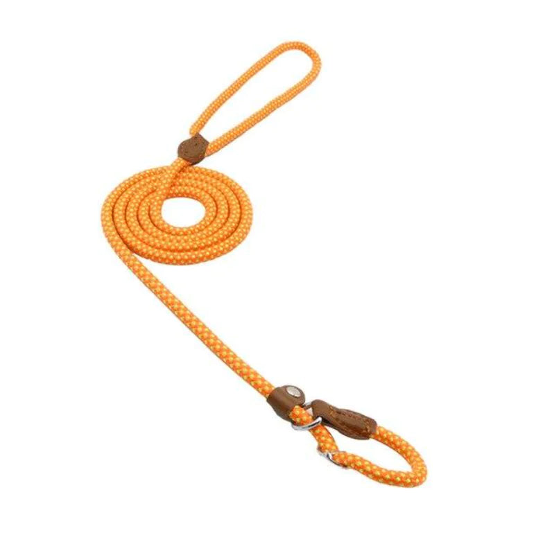 Nylon Pup Set - 888