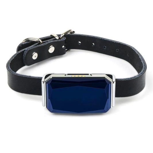 GPS Pet Tracker Collar for Lost Pet Location Tracking - 888