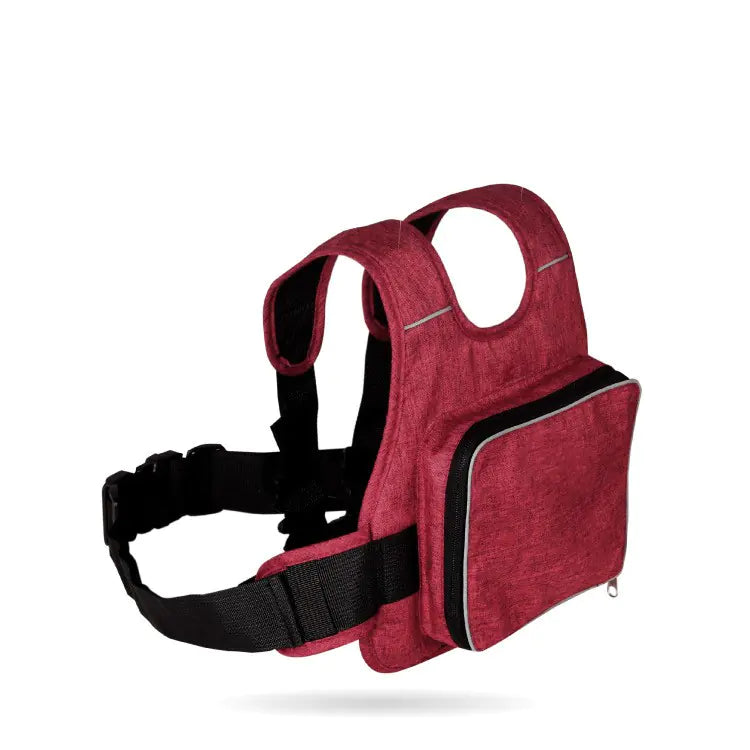 Motorcycle Child Safety Belt - 888