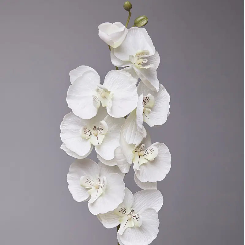 Artificial Orchid Flower for European Dining Table