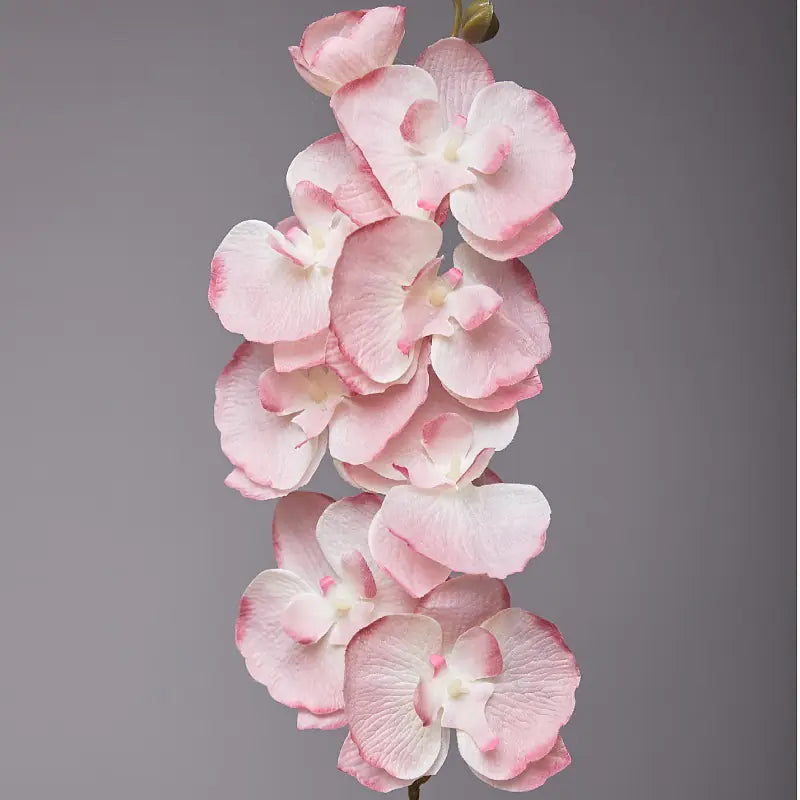 Artificial Orchid Flower for European Dining Table