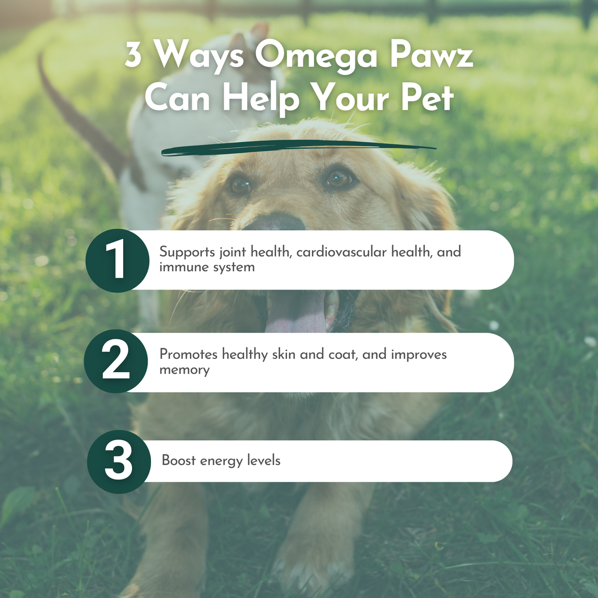 Omega Pawz - Liquid Omega 3 Oil for Dogs and Cats