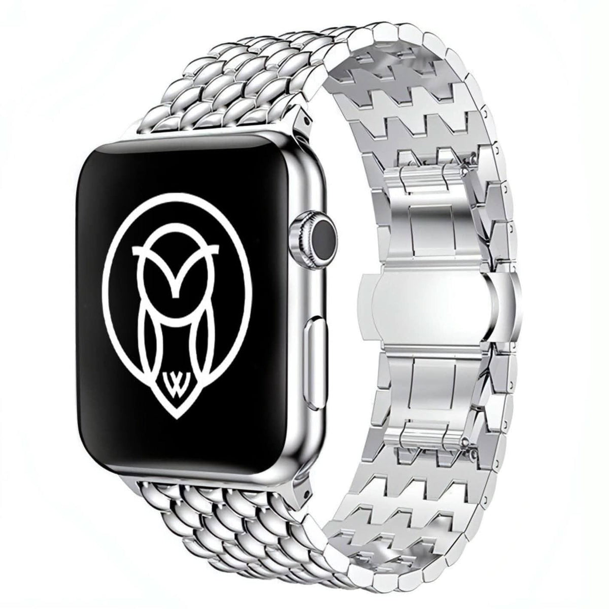 Arya Stainless Strap