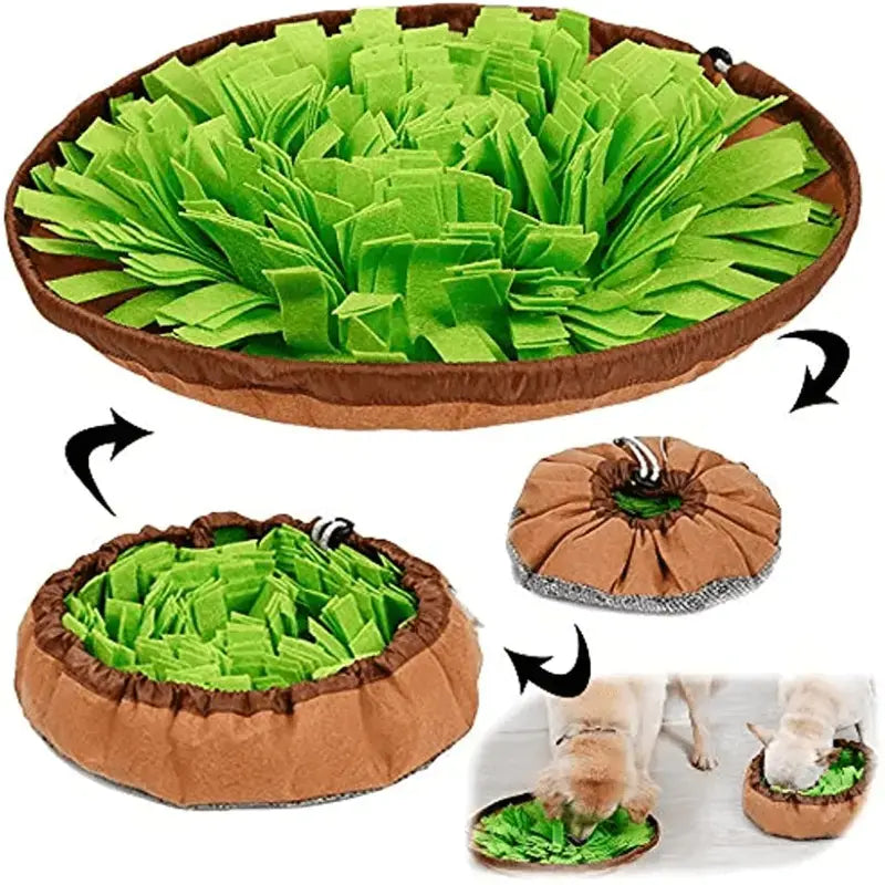 2-in-1 Dog Sniffing Mat - 888
