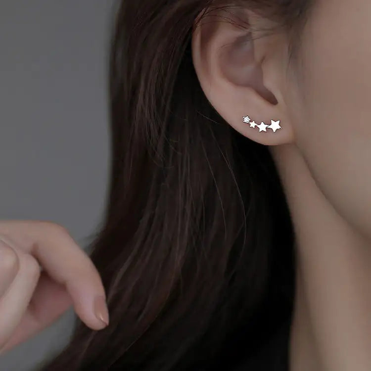 High-grade Light Luxury Design Sense Frosty Style Stud Earrings