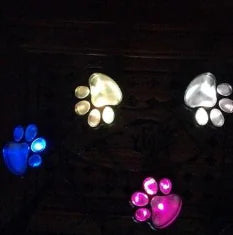 Solar Bear Paw Light - 888