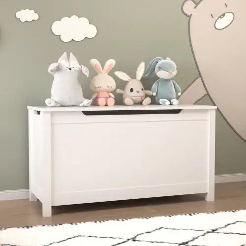 Children's White Wooden Toy Box