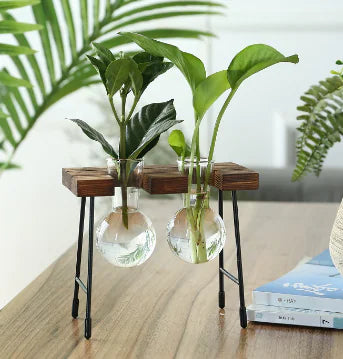 Transparent Glass Vase for Hydroponic Planting (1pc)