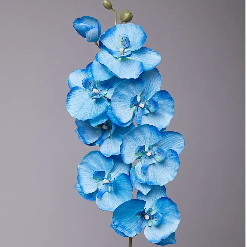 Artificial Orchid Flower for European Dining Table