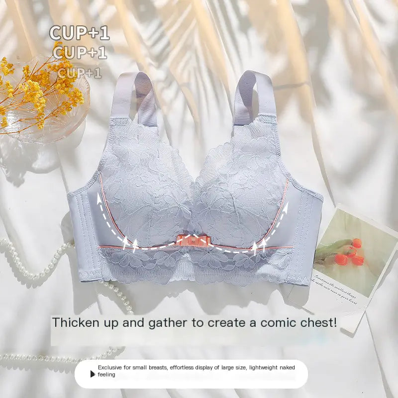 Lace Push-Up Bra for Small Bust with Support Features - Lingerie