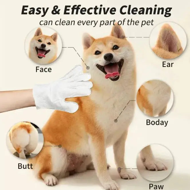 Pet Cleaning Gloves & Wipes - 888