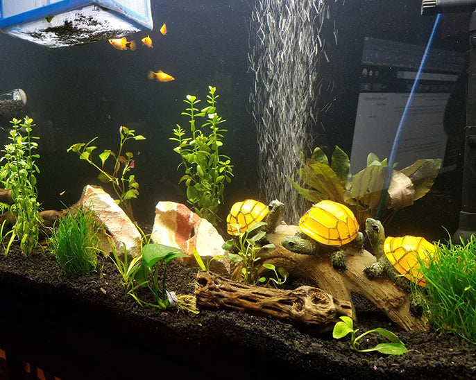 Solar Resin Turtle LED Lawn Light - 888