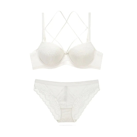 Lace Embroidered Bra and Lingerie Set (Style 5059) - Lingerie