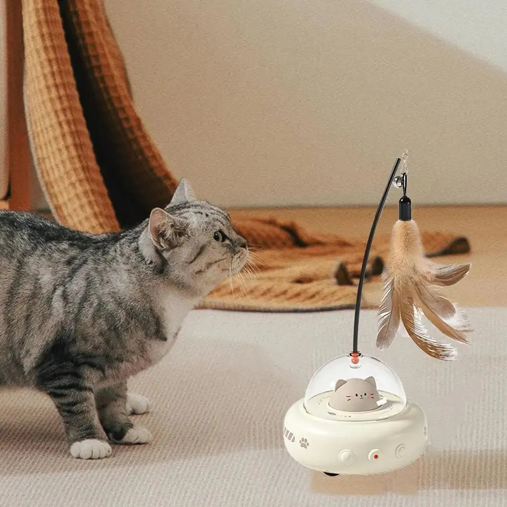 Electric Cat Interactive Toy - 888
