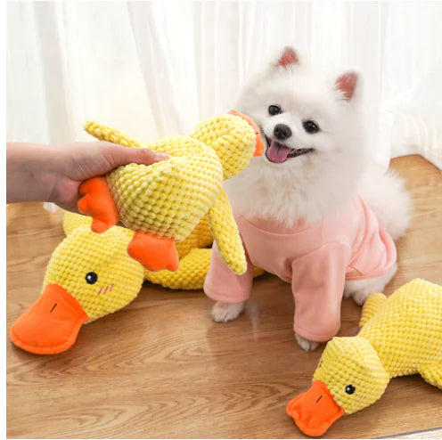 Calming Duck Toy - 888