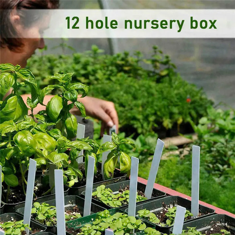 Insulated Seedling Tray - 888