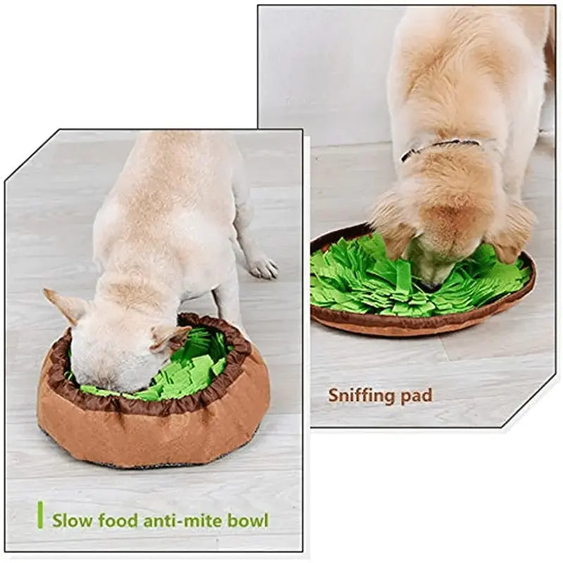 2-in-1 Dog Sniffing Mat - 888