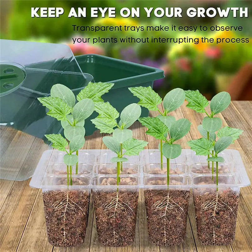 Insulated Seedling Tray - 888