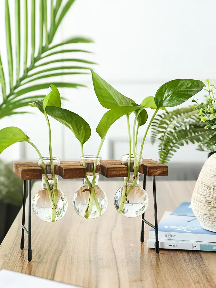 Transparent Glass Vase for Hydroponic Planting (1pc)