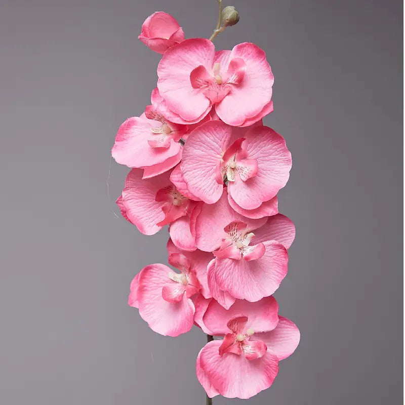 Artificial Orchid Flower for European Dining Table