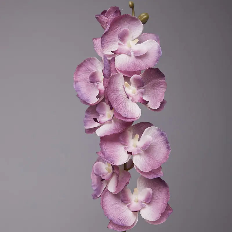 Artificial Orchid Flower for European Dining Table
