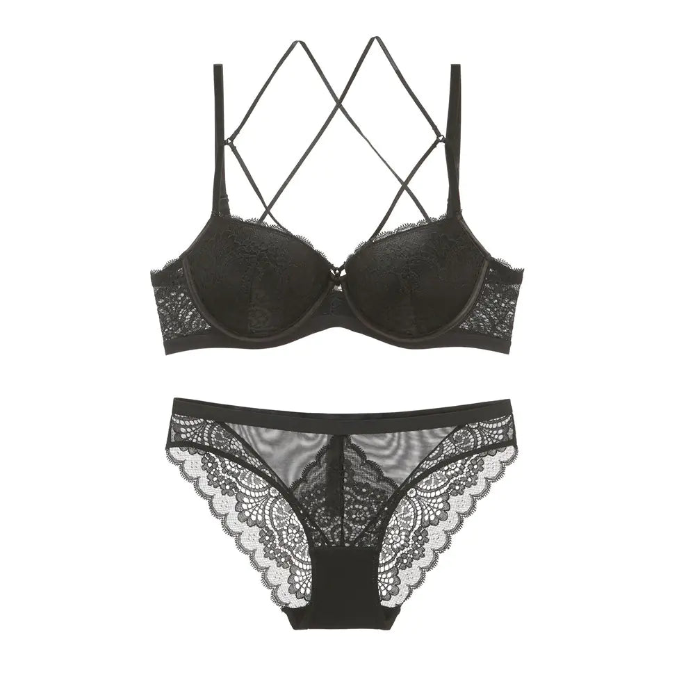 Lace Embroidered Bra and Lingerie Set (Style 5059) - Lingerie