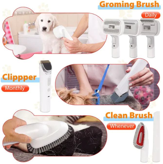 Pet Hair - 888