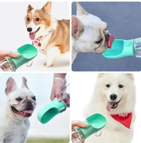 Pet Portable Water Cup - 888