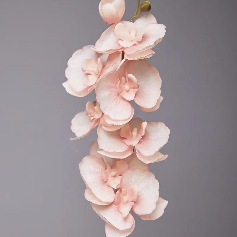Artificial Orchid Flower for European Dining Table