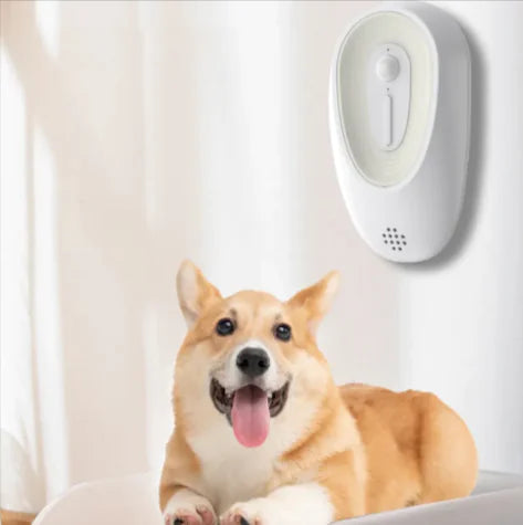 Pet Odor Eliminator for Litter Boxes - 888