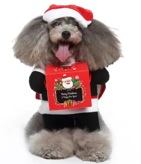 Pet Products Clothing - 888