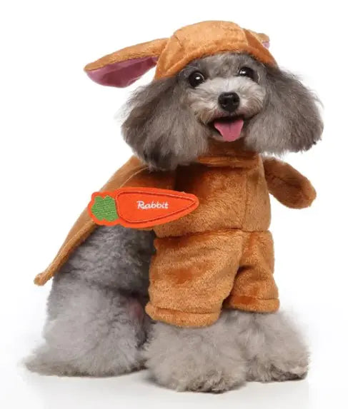 Pet Products Clothing - 888