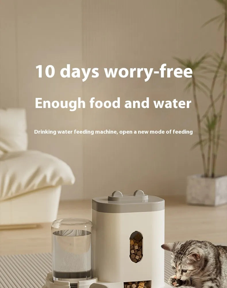 Auto Pet Feeder