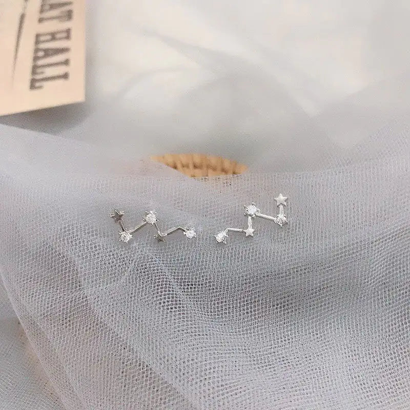 High-grade Light Luxury Design Sense Frosty Style Stud Earrings