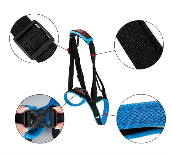 Pet Leg Support - 888